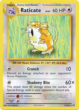 Evolutions - 067/108 - Raticate