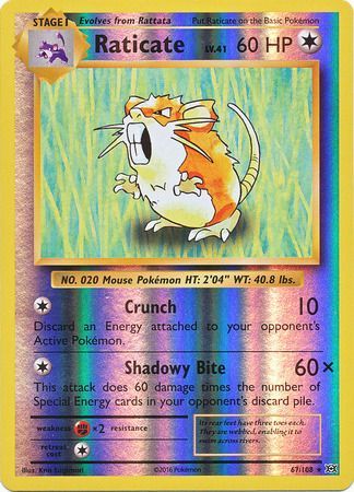 Evolutions - 067/108 - Raticate - Reverse Holo